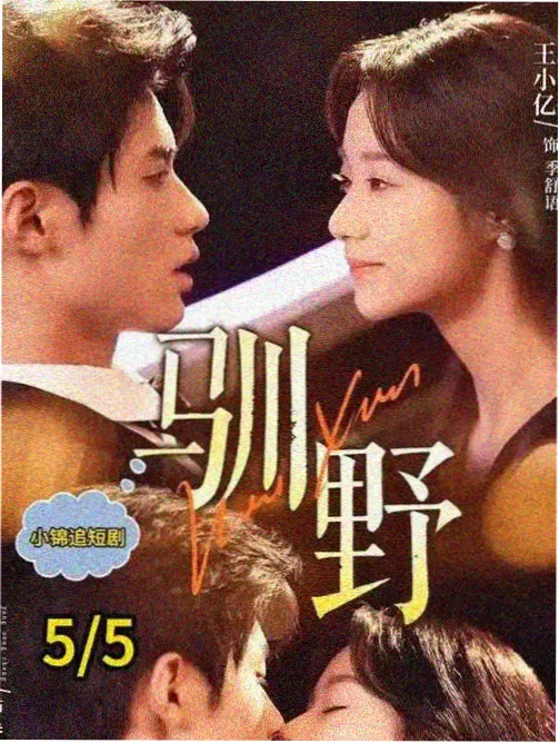 长夏未晚 家庭治愈剧封面
